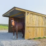 Abri bois Classic 3x5m – Structure en pin traité, 20m², toiture bac acier, pour 2 chevaux