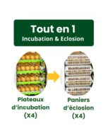 « Couveuse Automatique Cimuka CT120SH — Capacité 120 œufs, PID & Refroidissement Actif » – Image 3