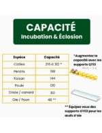 « Couveuse Automatique Cimuka CT120SH — Capacité 120 œufs, PID & Refroidissement Actif » – Image 4