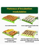 « Couveuse Automatique Cimuka CT120SH — Capacité 120 œufs, PID & Refroidissement Actif » – Image 6