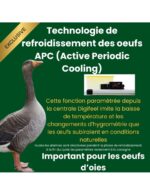 « Éclosoir HB175H Cimuka – Capacité 175 œufs, Humisonic, Ventilation AirRoute » – Image 5