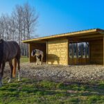 Râtelier déplaçable 2x3m – Distribution sécurisée du fourrage pour chevaux – Structure mobile et robuste