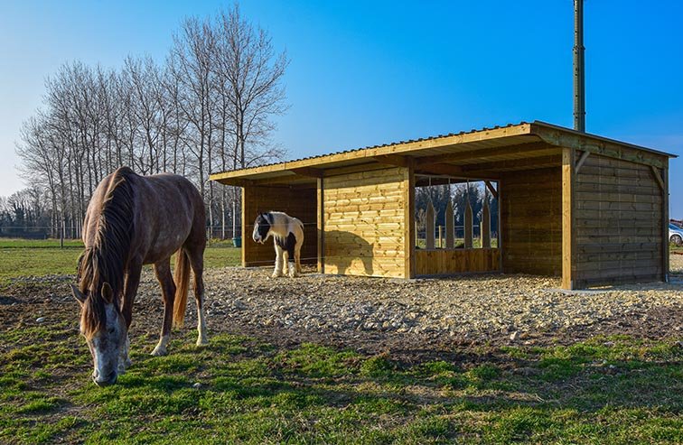 d1 Râtelier déplaçable 2x3m – Distribution sécurisée du fourrage pour chevaux – Structure mobile et robuste – Image 1