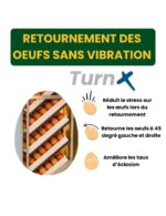 « Couveuse‑Éclosoir Automatique HB700C Cimuka – 560 œufs poule, Humidification & Ventilation Auto » – Image 5