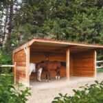 Abri bois Confort 3x6m – Structure robuste pour chevaux – 18m² – Toiture bac acier