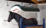 Solarium Saturne pour chevaux – 22 lampes infrarouges – 4 ventilateurs – Structure ABS renforcé – Étanchéité IPX5 – Image 2